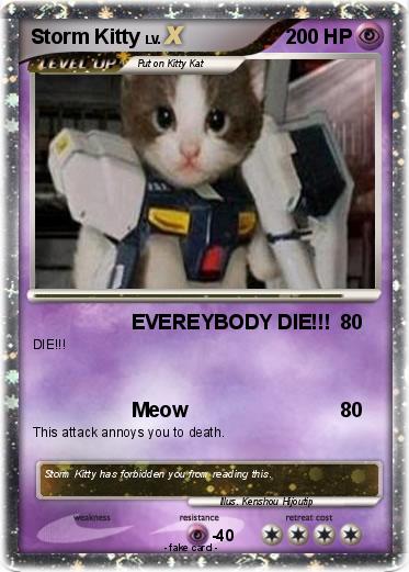 Pokemon Storm Kitty