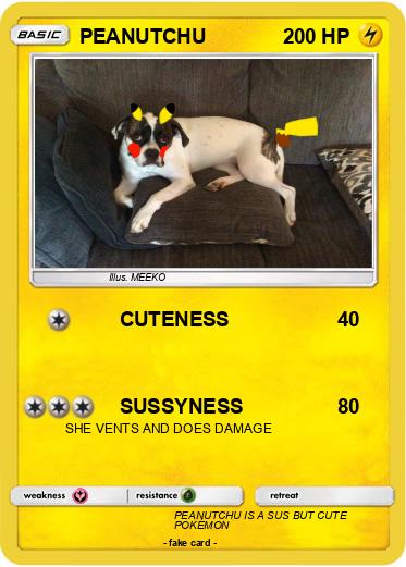 Pokemon PEANUTCHU