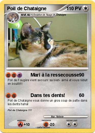 Pokemon Poil de Chataigne