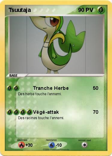 Pokemon Tsuutaja