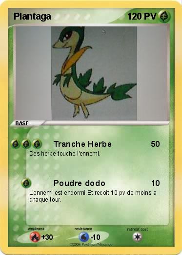 Pokemon Plantaga