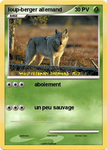 Pokemon loup-berger allemand