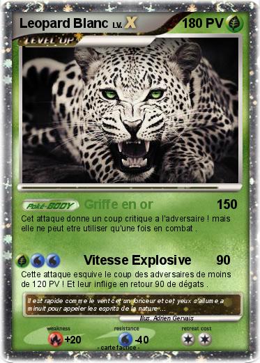Pokemon Leopard Blanc