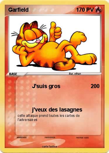 Pokemon Garfield