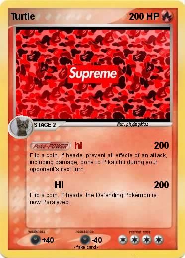 Pokemon Turtle