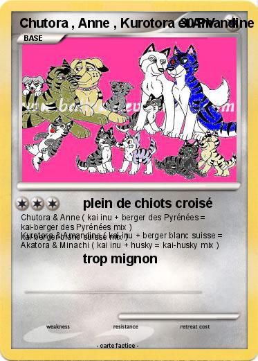 Pokemon Chutora , Anne , Kurotora et Amandine