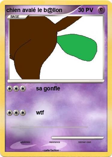 Pokemon chien avalé le b@llon