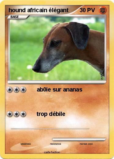 Pokemon hound africain élégant