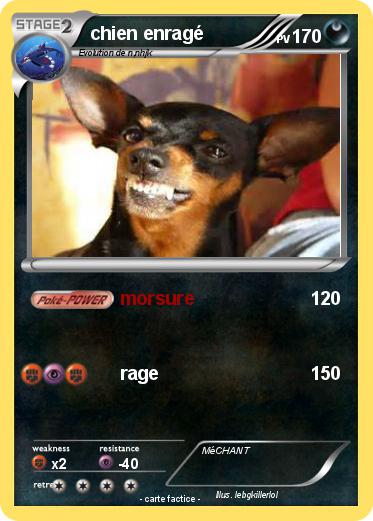 Pokemon chien enragé
