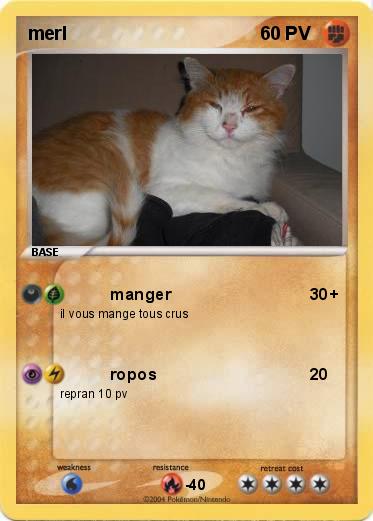 Pokemon merl