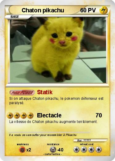 Pokemon Chaton pikachu