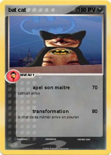 Pokemon bat cat