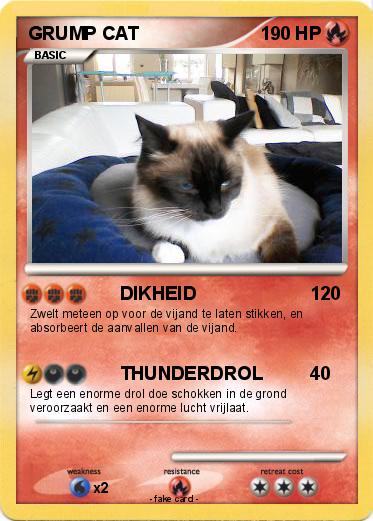 Pokemon GRUMP CAT