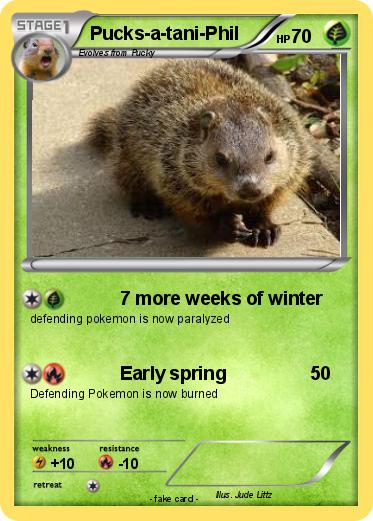 Pokemon Pucks-a-tani-Phil