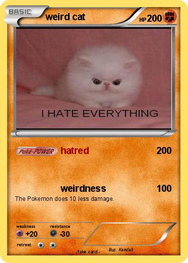 Pokemon weird cat