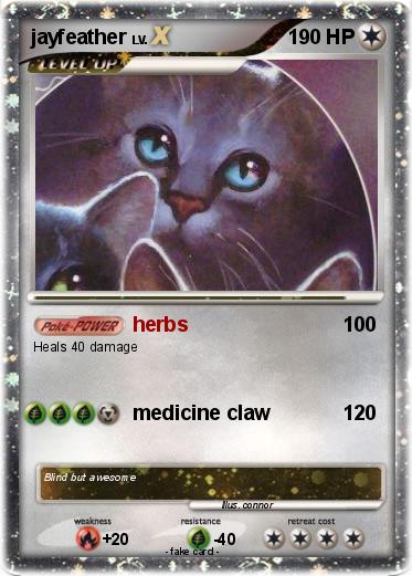 Pokemon jayfeather
