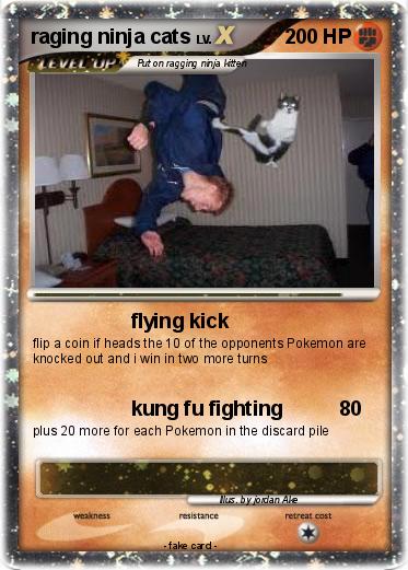 Pokemon raging ninja cats