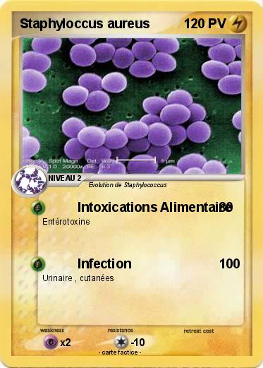 Pokemon Staphyloccus aureus