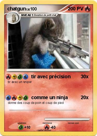 Pokemon chatgun