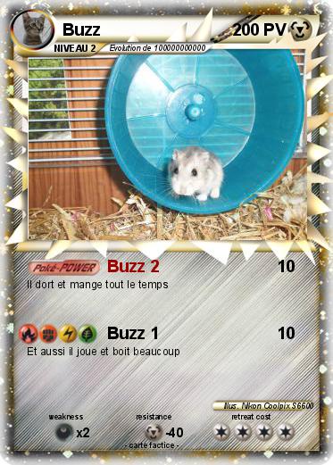 Pokemon Buzz