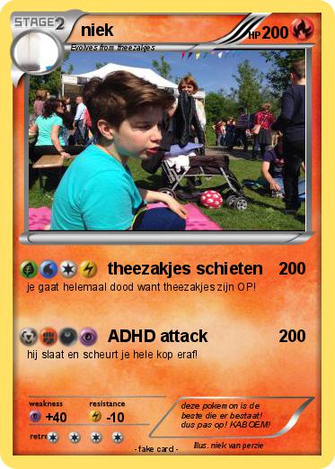 Pokemon niek