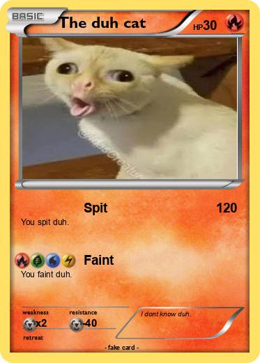 Pokemon The duh cat