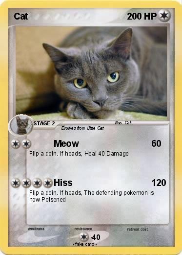 Pokemon Cat