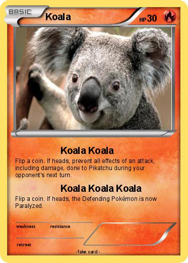 Pokemon Koala