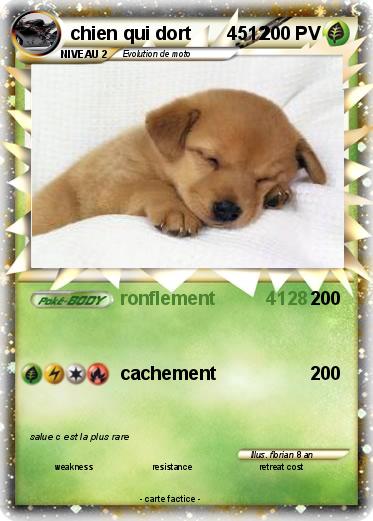 Pokemon chien qui dort       4512