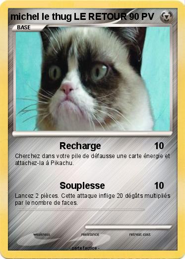 Pokemon michel le thug LE RETOUR