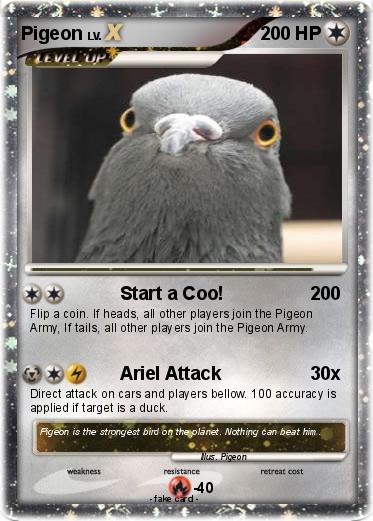 Pokemon Pigeon