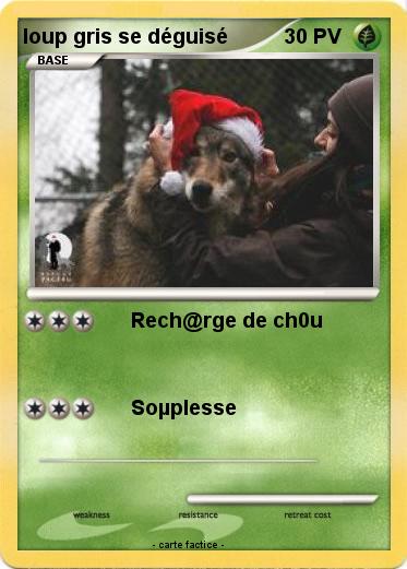 Pokemon loup gris se déguisé