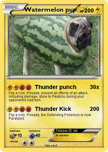 Pokemon Watermelon pup