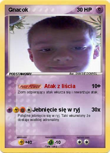 Pokemon Gnacok