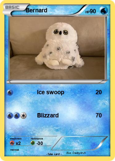 Pokemon Bernard