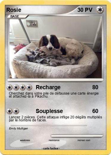 Pokemon Rosie