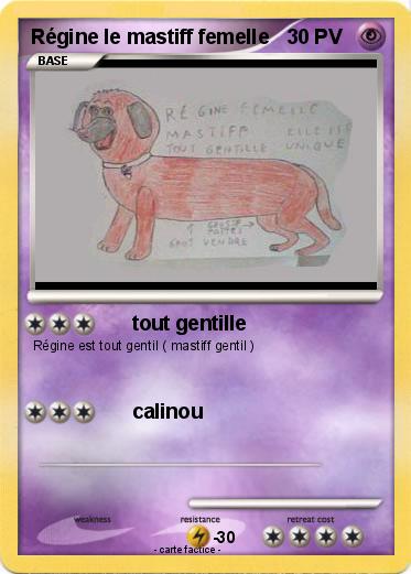 Pokemon Régine le mastiff femelle