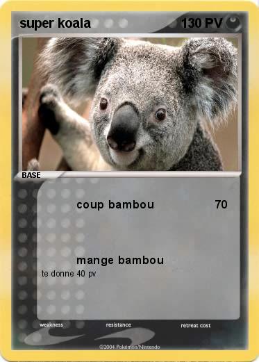 Pokemon super koala