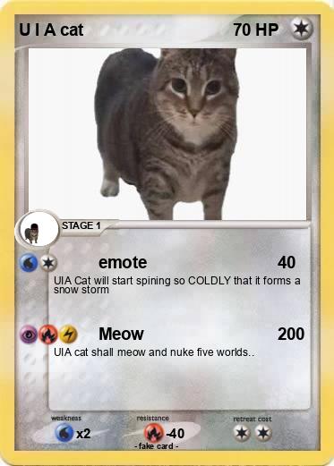 Pokemon U I A cat
