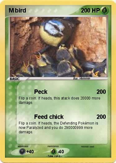 Pokemon M bird
