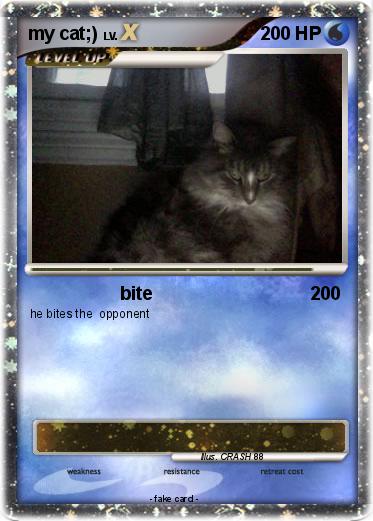 Pokemon my cat;)
