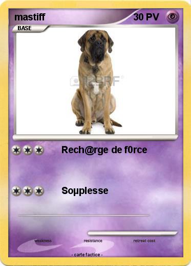 Pokemon mastiff