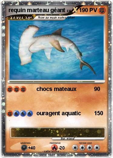 Pokemon requin marteau géant