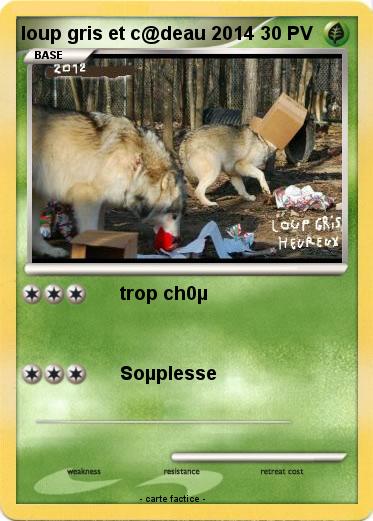 Pokemon loup gris et c@deau 2014