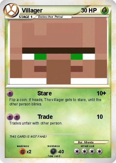 Pokemon Villager