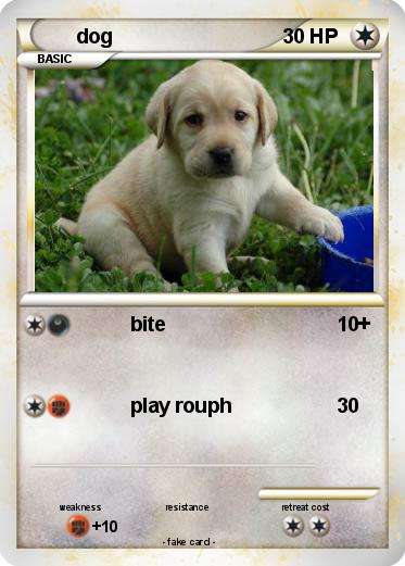 Pokemon dog