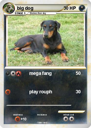 Pokemon big dog