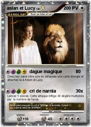 Pokemon aslan et Lucy
