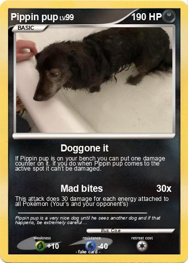 Pokemon Pippin pup