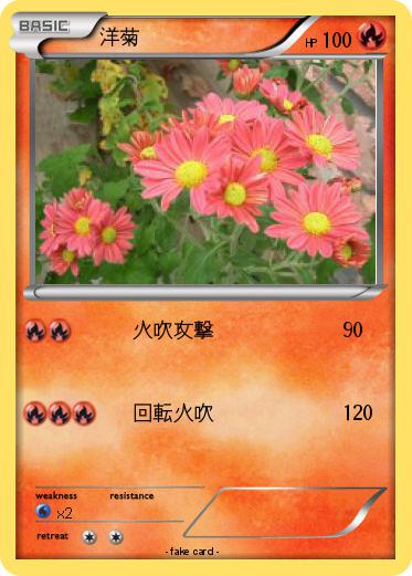 Pokemon 洋菊
